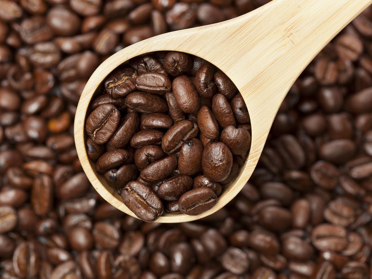 Best Organic Coffee